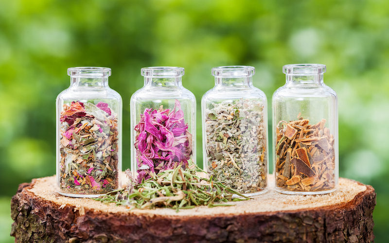 Four glass jars with dried herbs on a wooden stump against a blurred green background

